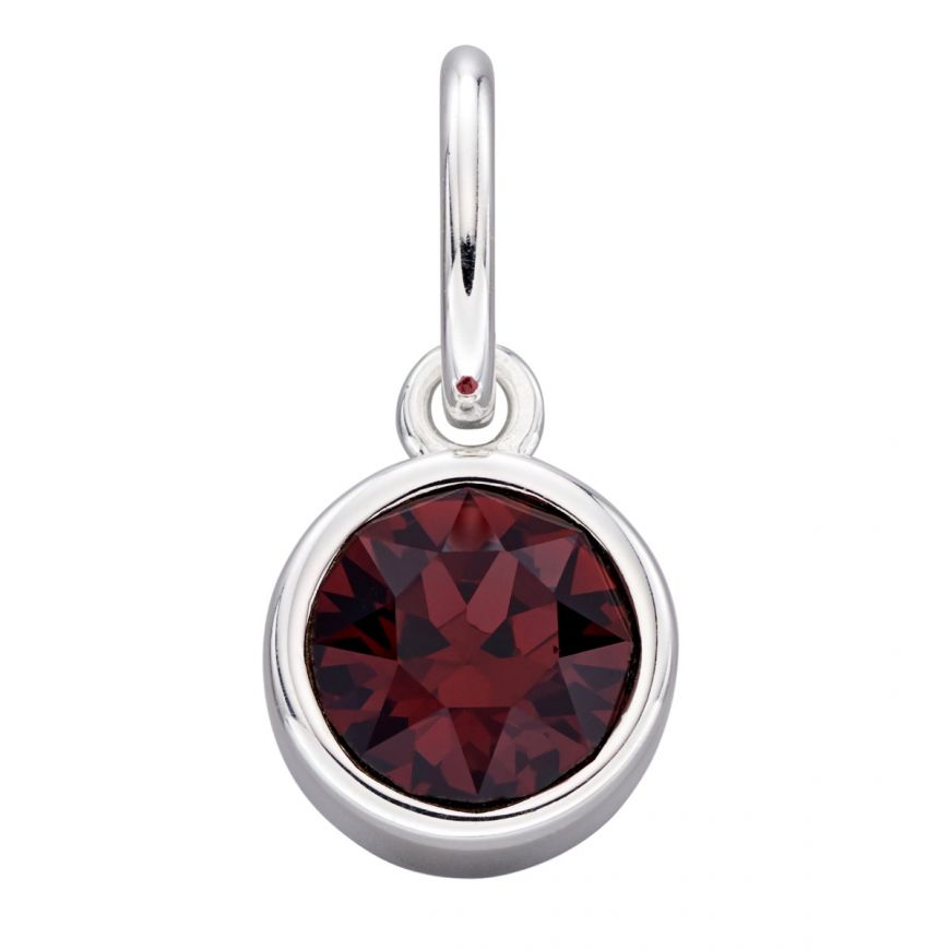 January Birthstone Charm